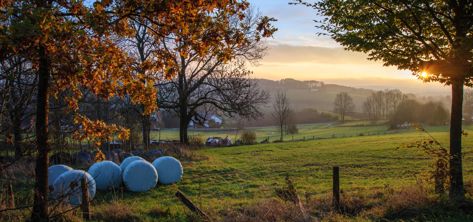 Herbst 1900x892